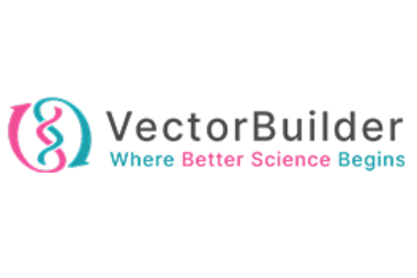 Vector Builder