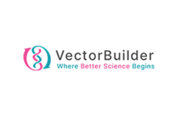 Vector Builder